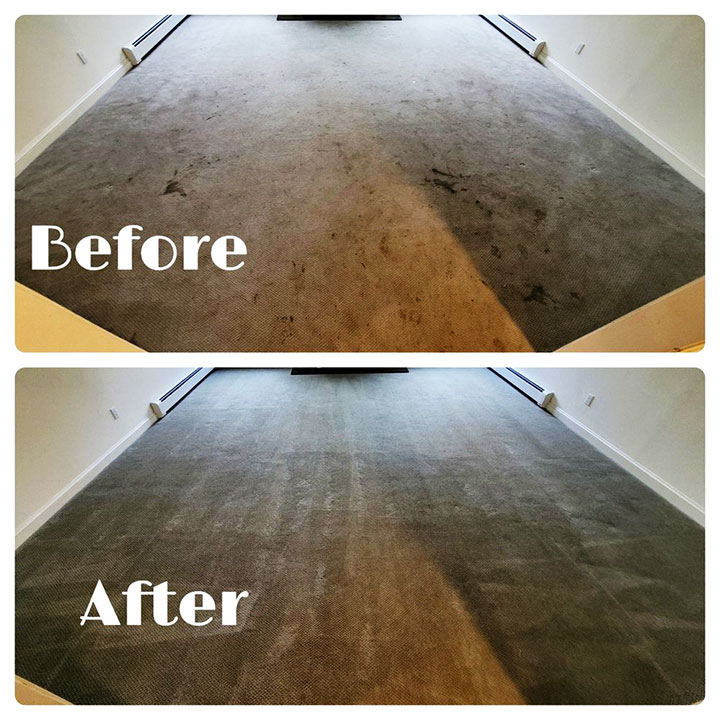 Bee Cleaner carpet stain removal Summit, NJ